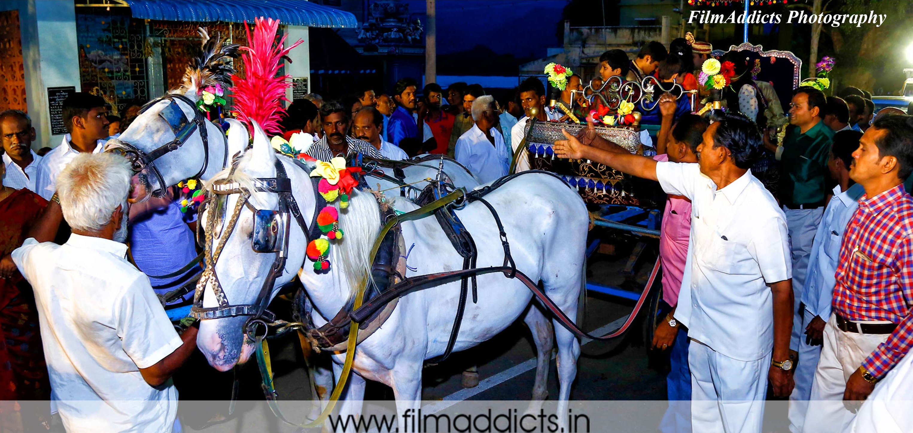 Best Wedding horse & carriages Services in Madurai